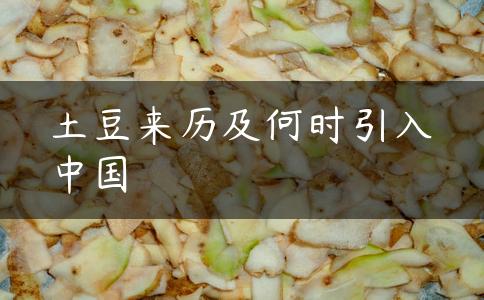 土豆来历及何时引入中国