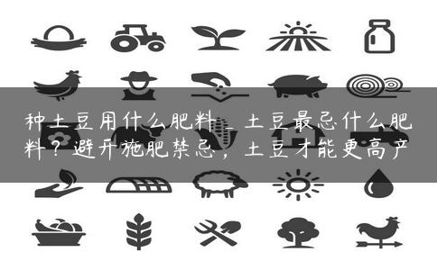 种土豆用什么肥料_土豆最忌什么肥料？避开施肥禁忌，土豆才能更高产