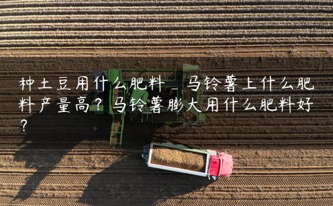 种土豆用什么肥料_马铃薯上什么肥料产量高？马铃薯膨大用什么肥料好？