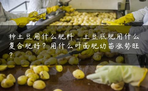 种土豆用什么肥料_土豆底肥用什么复合肥好？用什么叶面肥幼苗涨势旺？