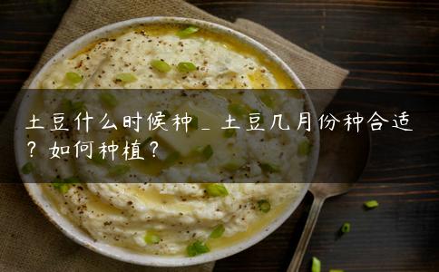 土豆什么时候种_土豆几月份种合适？如何种植？