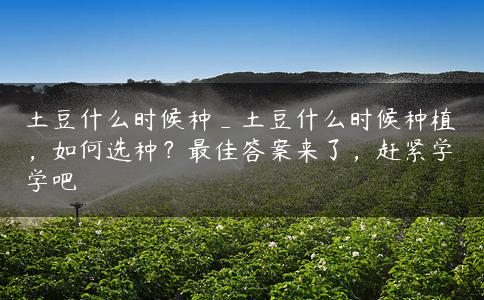 土豆什么时候种_土豆什么时候种植，如何选种？最佳答案来了，赶紧学学吧