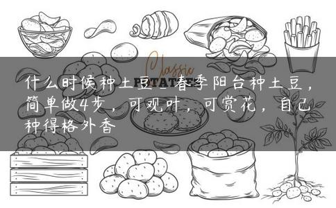 什么时候种土豆_春季阳台种土豆，简单做4步，可观叶，可赏花，自己种得格外香