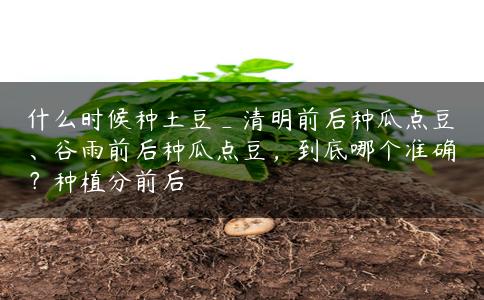 什么时候种土豆_清明前后种瓜点豆、谷雨前后种瓜点豆,到底哪个准确?种植分前后 什么时候种土豆_清明前后种瓜点豆、谷雨前后种瓜点豆,到底哪个准确?种植分前后