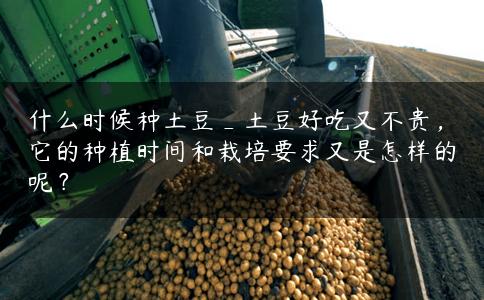 什么时候种土豆_土豆好吃又不贵,它的种植时间和栽培要求又是怎样的呢? 什么时候种土豆_土豆好吃又不贵,它的种植时间和栽培要求又是怎样的呢?