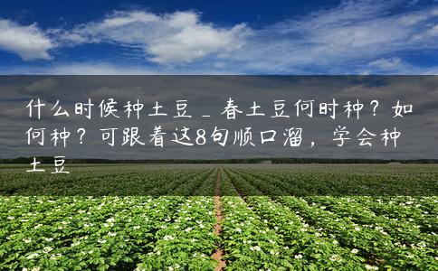 什么时候种土豆_春土豆何时种？如何种？可跟着这8句顺口溜，学会种土豆