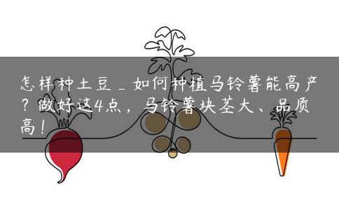 怎样种土豆_如何种植马铃薯能高产？做好这4点，马铃薯块茎大、品质高！