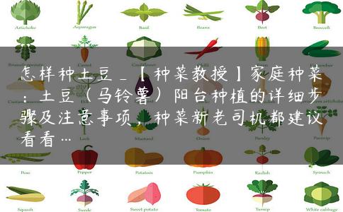 怎样种土豆_【种菜教授】家庭种菜:土豆(马铃薯)阳台种植的详细步骤及注意事项,种菜新老司机都建议看看… 怎样种土豆_【种菜教授】家庭种菜:土豆(马铃薯)阳台种植的详细步骤及注意事项,种菜新老司机都建议看看…