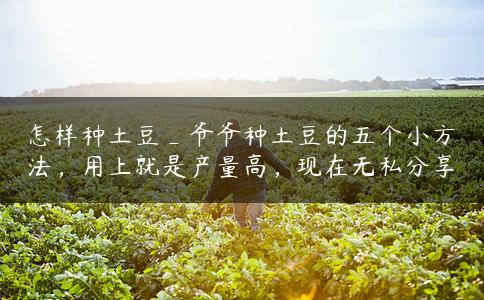 怎样种土豆_爷爷种土豆的五个小方法,用上就是产量高,现在无私分享 怎样种土豆_爷爷种土豆的五个小方法,用上就是产量高,现在无私分享