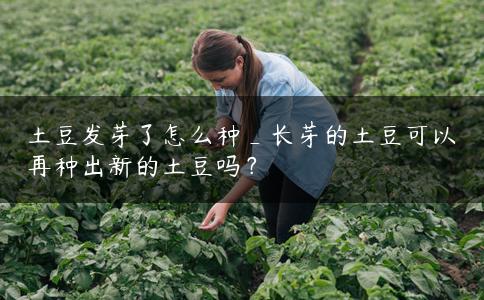 土豆发芽了怎么种_长芽的土豆可以再种出新的土豆吗？