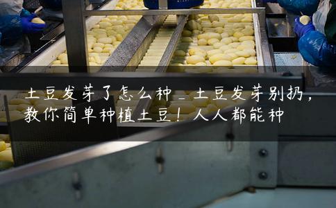 土豆发芽了怎么种_土豆发芽别扔,教你简单种植土豆!人人都能种 土豆发芽了怎么种_土豆发芽别扔,教你简单种植土豆!人人都能种
