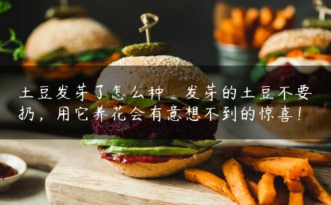 土豆发芽了怎么种_发芽的土豆不要扔，用它养花会有意想不到的惊喜！