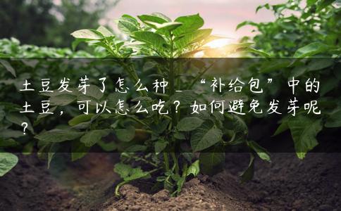 土豆发芽了怎么种_“补给包”中的土豆,可以怎么吃?如何避免发芽呢? 土豆发芽了怎么种_“补给包”中的土豆,可以怎么吃?如何避免发芽呢?