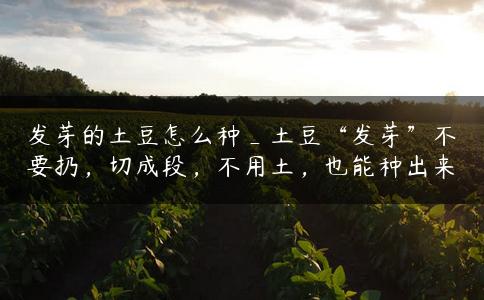 发芽的土豆怎么种_土豆“发芽”不要扔,切成段,不用土,也能种出来 发芽的土豆怎么种_土豆“发芽”不要扔,切成段,不用土,也能种出来