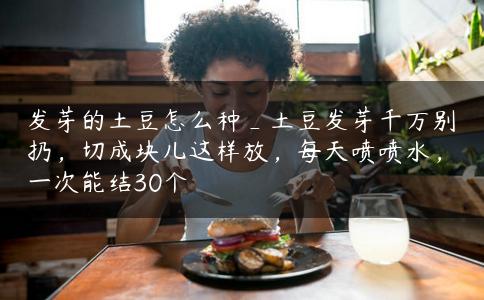 发芽的土豆怎么种_土豆发芽千万别扔，切成块儿这样放，每天喷喷水，一次能结30个