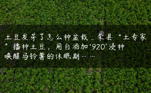 土豆发芽了怎么种盆栽_荣县“土专家”播种土豆，用白酒加‘920’浸种唤醒马铃薯的休眠期……