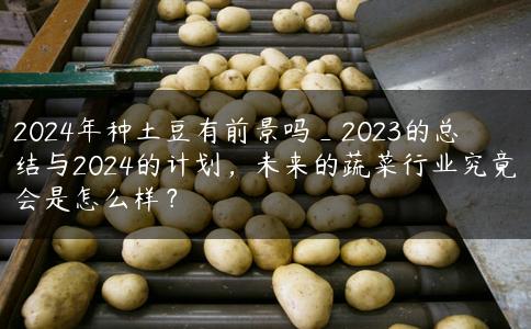 2024年种土豆有前景吗_2023的总结与2024的计划，未来的蔬菜行业究竟会是怎么样？