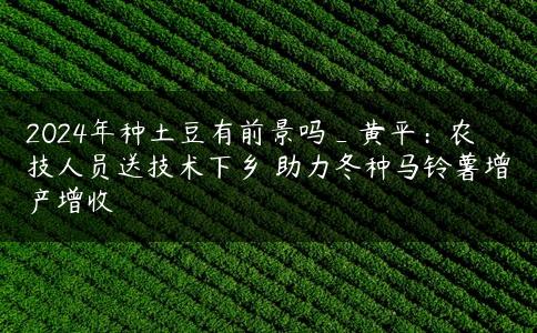 2024年种土豆有前景吗_黄平:农技人员送技术下乡 助力冬种马铃薯增产增收 2024年种土豆有前景吗_黄平:农技人员送技术下乡 助力冬种马铃薯增产增收