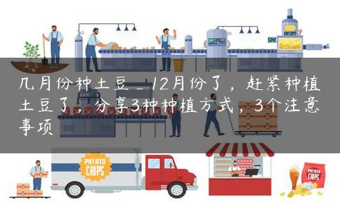 几月份种土豆_12月份了，赶紧种植土豆了，分享3种种植方式，3个注意事项