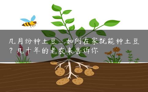 几月份种土豆_如何在家就能种土豆？几十年的老农来告诉你