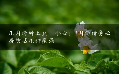 几月份种土豆_小心!1月份请务必提防这几种疾病 几月份种土豆_小心!1月份请务必提防这几种疾病