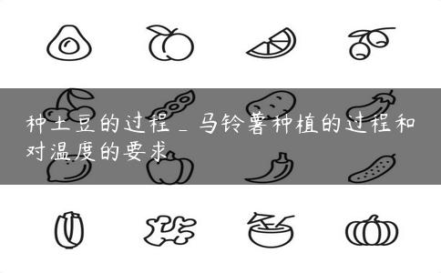 种土豆的过程_马铃薯种植的过程和对温度的要求
