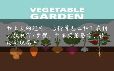 种土豆的过程_马铃薯怎么种？农村大叔教你7步骤，简单实用易学，轻松实现高产