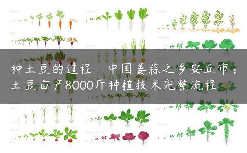 种土豆的过程_中国姜蒜之乡安丘市：土豆亩产8000斤种植技术完整流程