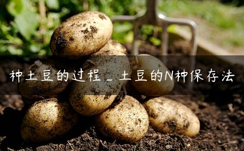 种土豆的过程_土豆的N种保存法 种土豆的过程_土豆的N种保存法
