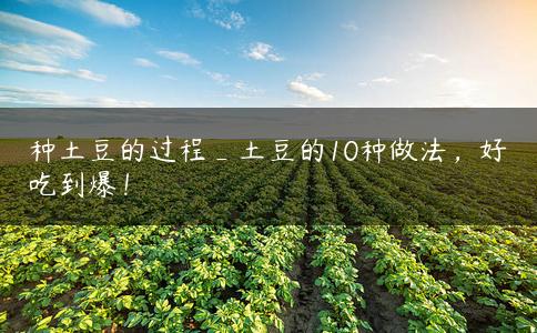 种土豆的过程_土豆的10种做法,好吃到爆! 种土豆的过程_土豆的10种做法,好吃到爆!