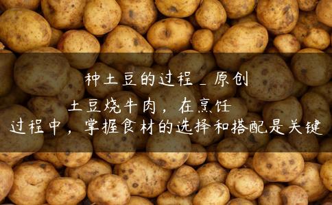 种土豆的过程_原创
土豆烧牛肉,在烹饪过程中,掌握食材的选择和搭配是关键 种土豆的过程_原创
土豆烧牛肉,在烹饪过程中,掌握食材的选择和搭配是关键