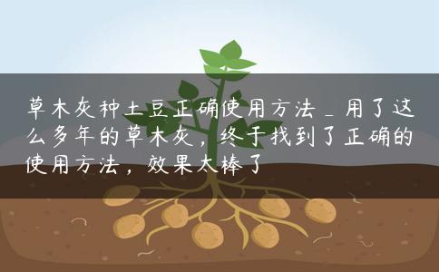 草木灰种土豆正确使用方法_用了这么多年的草木灰，终于找到了正确的使用方法，效果太棒了