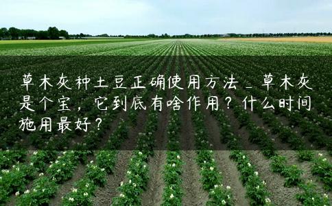 草木灰种土豆正确使用方法_草木灰是个宝，它到底有啥作用？什么时间施用最好？