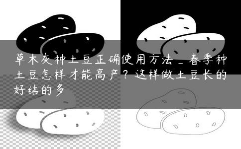 草木灰种土豆正确使用方法_春季种土豆怎样才能高产？这样做土豆长的好结的多