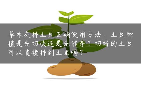 草木灰种土豆正确使用方法_土豆种植是先切块还是先催芽?切好的土豆可以直接种到土里吗? 草木灰种土豆正确使用方法_土豆种植是先切块还是先催芽?切好的土豆可以直接种到土里吗?