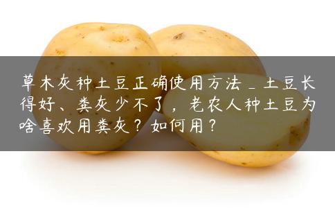 草木灰种土豆正确使用方法_土豆长得好、粪灰少不了,老农人种土豆为啥喜欢用粪灰?如何用? 草木灰种土豆正确使用方法_土豆长得好、粪灰少不了,老农人种土豆为啥喜欢用粪灰?如何用?