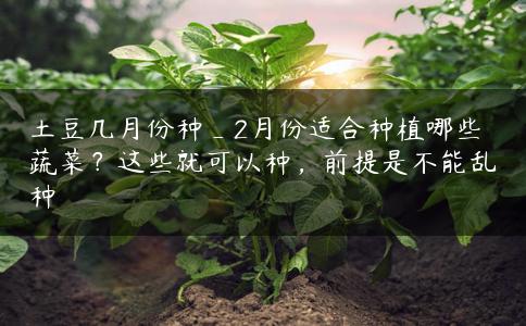 土豆几月份种_2月份适合种植哪些蔬菜？这些就可以种，前提是不能乱种