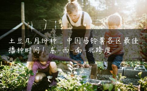 土豆几月份种_中国马铃薯各区最佳播种时间！东-西-南-北跨度
