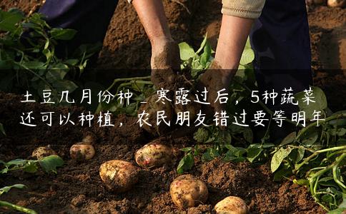 土豆几月份种_寒露过后,5种蔬菜还可以种植,农民朋友错过要等明年 土豆几月份种_寒露过后,5种蔬菜还可以种植,农民朋友错过要等明年