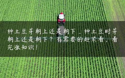 种土豆芽朝上还是朝下_种土豆时芽朝上还是朝下？有需要的赶紧看，看完涨知识！