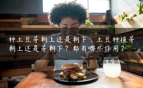 种土豆芽朝上还是朝下_土豆种植芽朝上还是芽朝下?都有哪些作用? 种土豆芽朝上还是朝下_土豆种植芽朝上还是芽朝下?都有哪些作用?