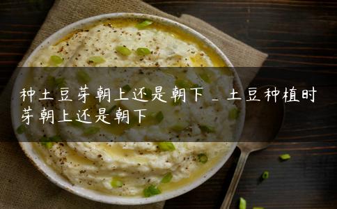 种土豆芽朝上还是朝下_土豆种植时芽朝上还是朝下 种土豆芽朝上还是朝下_土豆种植时芽朝上还是朝下
