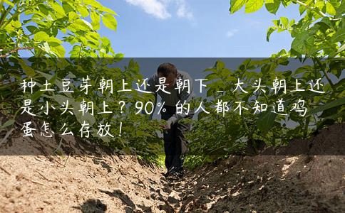 种土豆芽朝上还是朝下_大头朝上还是小头朝上?90%的人都不知道鸡蛋怎么存放! 种土豆芽朝上还是朝下_大头朝上还是小头朝上?90%的人都不知道鸡蛋怎么存放!