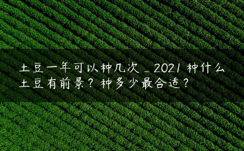 土豆一年可以种几次_2021 种什么土豆有前景?种多少最合适? 土豆一年可以种几次_2021 种什么土豆有前景?种多少最合适?