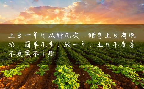 土豆一年可以种几次_储存土豆有绝招,简单几步,放一年,土豆不发芽不发黑不干瘪 土豆一年可以种几次_储存土豆有绝招,简单几步,放一年,土豆不发芽不发黑不干瘪