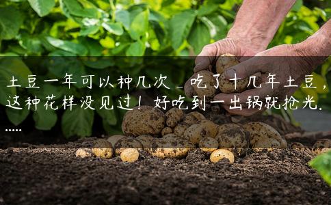 土豆一年可以种几次_吃了十几年土豆，这种花样没见过！好吃到一出锅就抢光……
