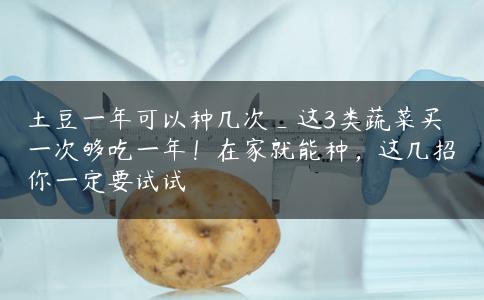 土豆一年可以种几次_这3类蔬菜买一次够吃一年！在家就能种，这几招你一定要试试