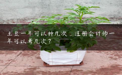 土豆一年可以种几次_注册会计师一年可以考几次？