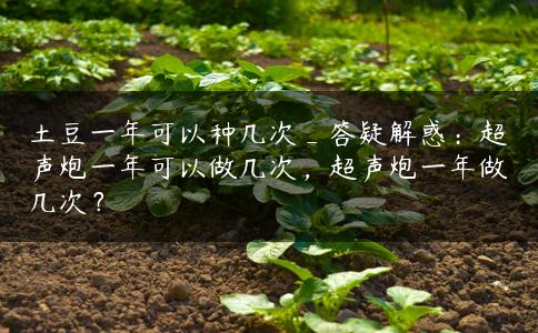 土豆一年可以种几次_答疑解惑：超声炮一年可以做几次，超声炮一年做几次？