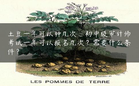 土豆一年可以种几次_初中级审计师考试一年可以报名几次？需要什么条件？
